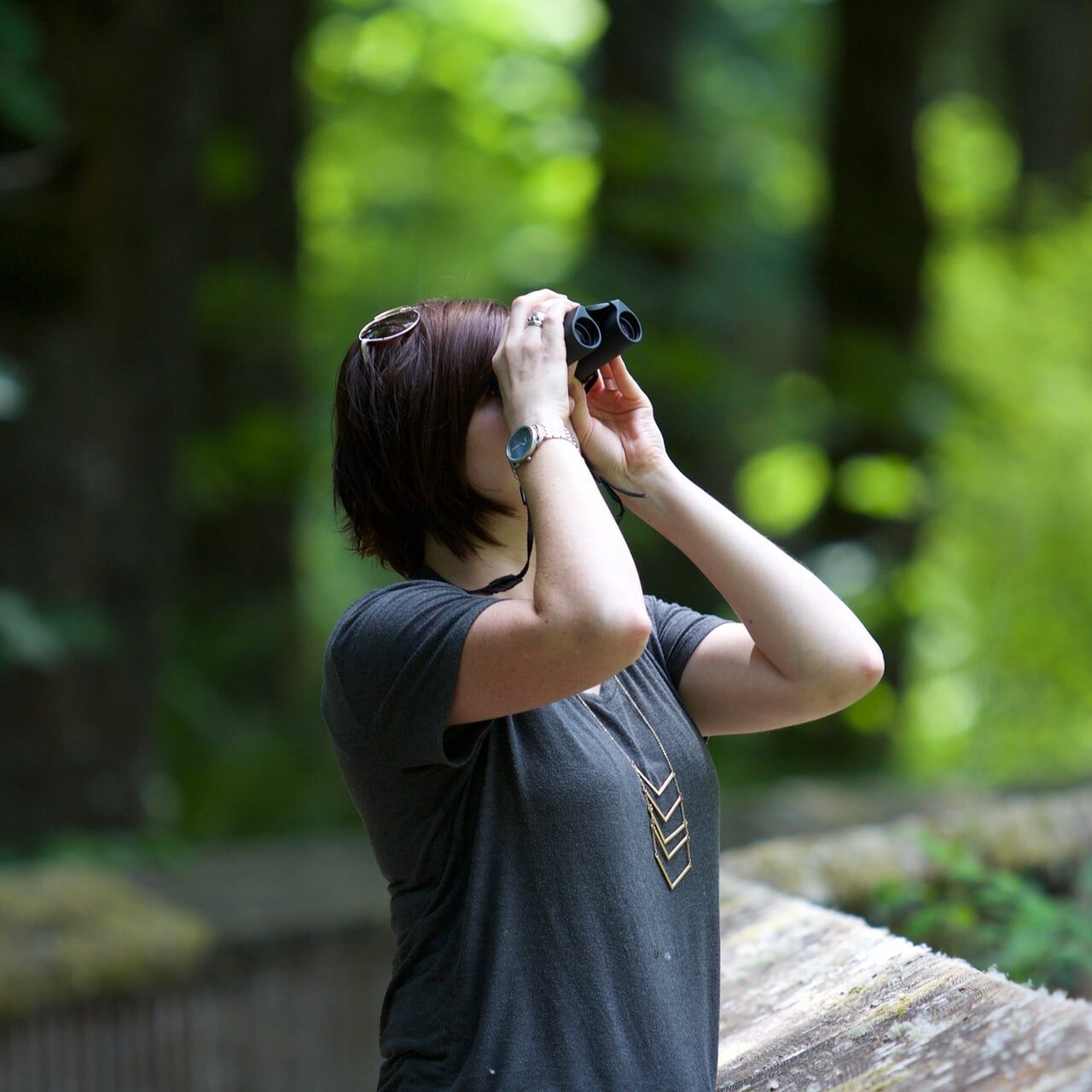 Наблюдение за птицами в Молдове